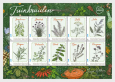 Sheet Tuinkruiden 2026