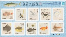 Sheet Zeedieren 2025