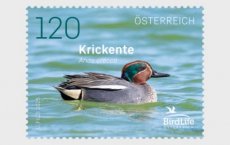 Vogels 2025