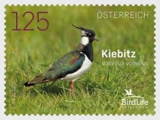 Vogels 2026